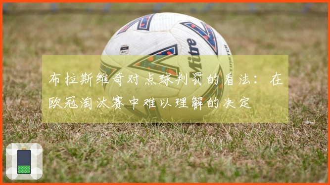 布拉斯维奇对点球判罚的看法：在欧冠淘汰赛中难以理解的决定